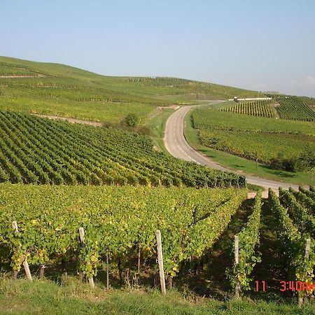 Gite Du Vigneron Turckheim Eksteriør bilde