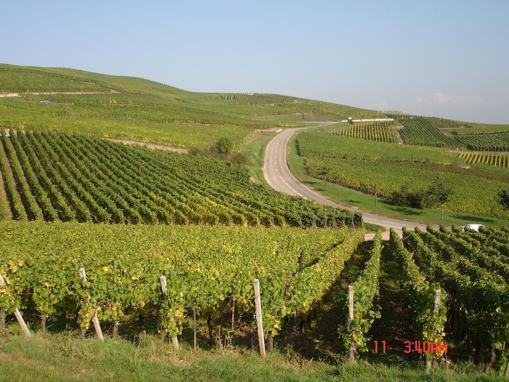 Gite Du Vigneron Turckheim Eksteriør bilde